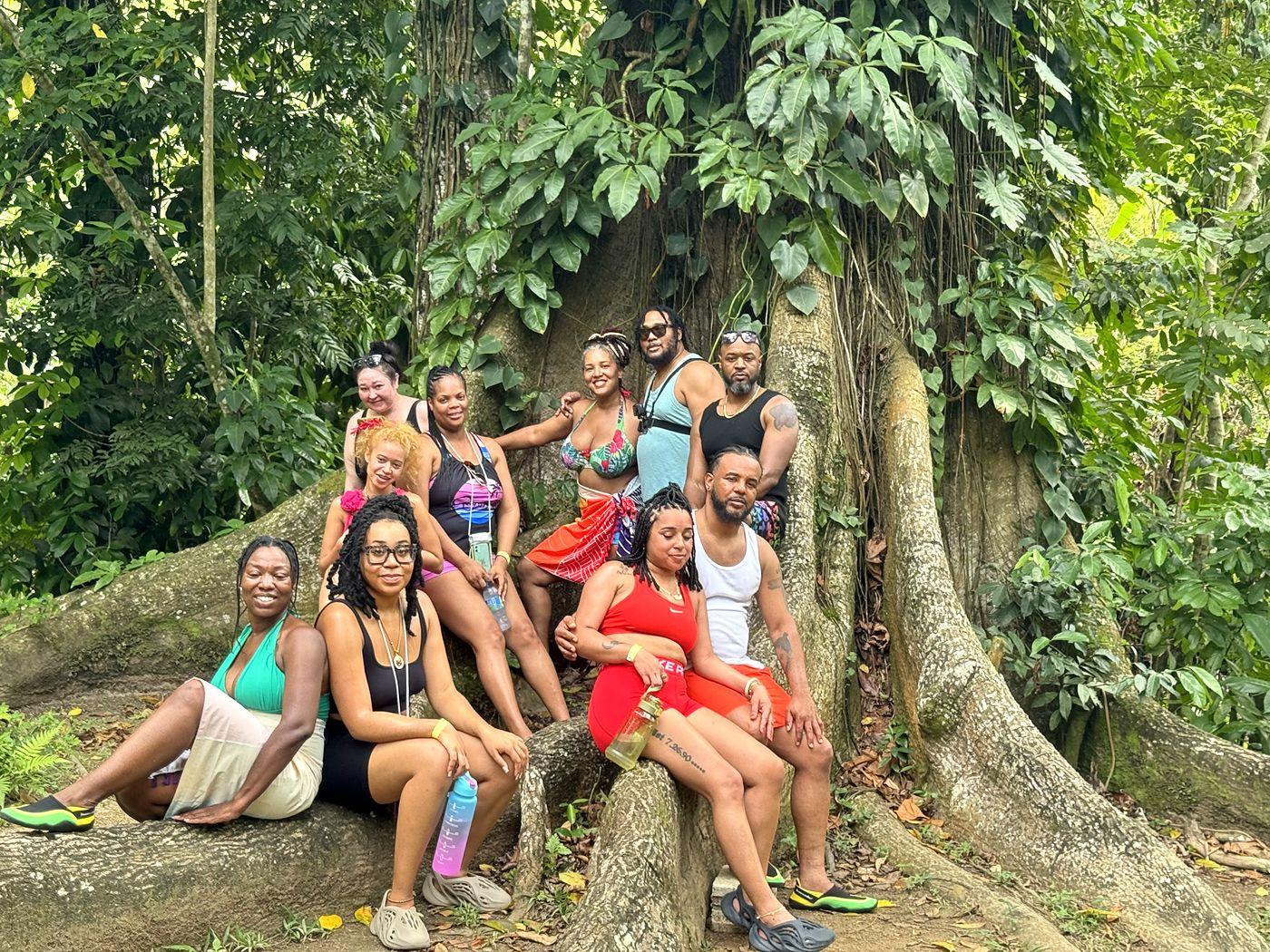 Guests gathered on the roots of a giant tree in the rainforest